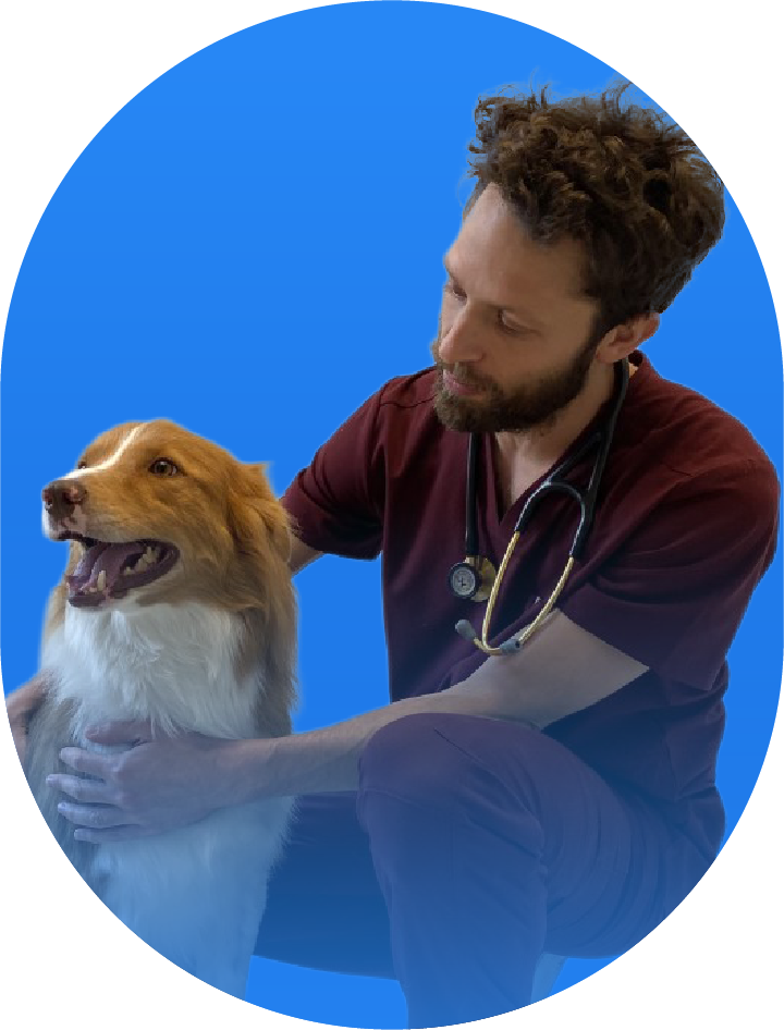 Dr David Szwec