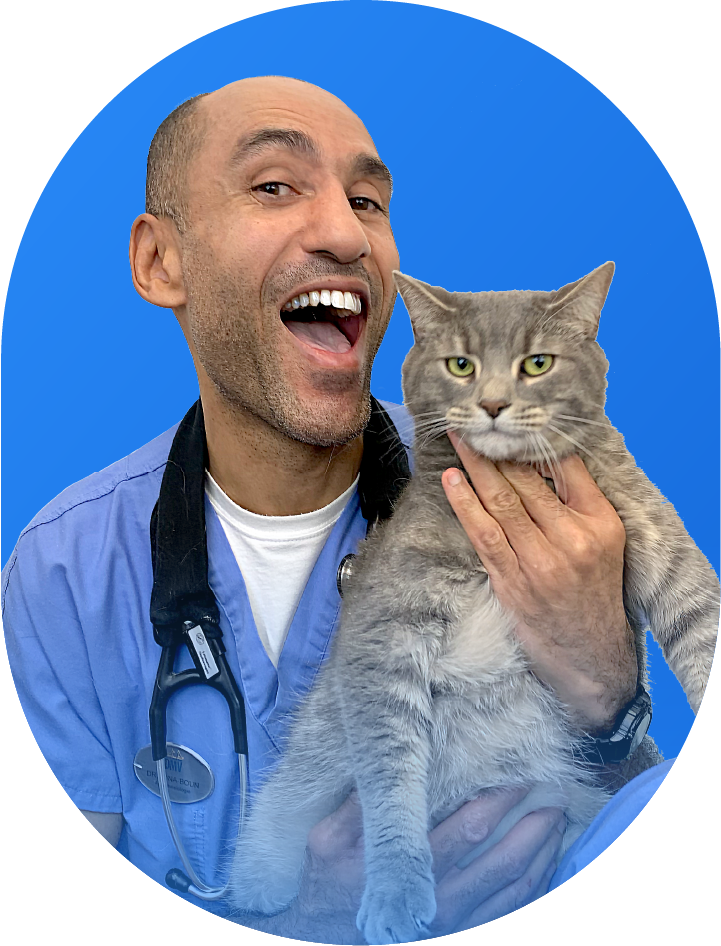 Dr Jean-Jacques Kona-Boun