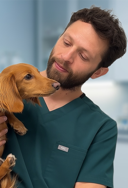 Dr David Szwec