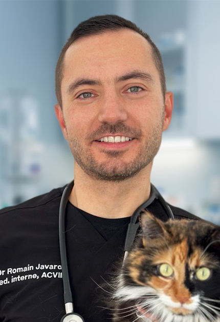 Dr Romain Javard